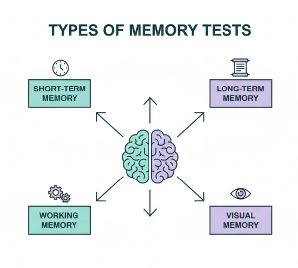 memory-tests-types-how-they-work-and-what-your-results-mean