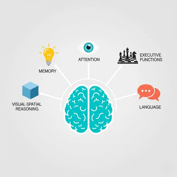 Infographic of cognitive functions test domains like memory.